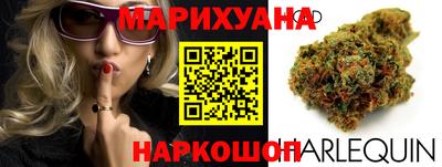 индика Малгобек