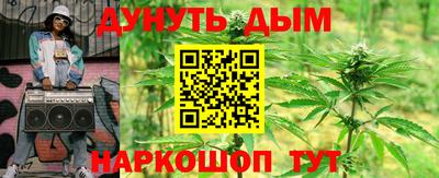 индика Малгобек