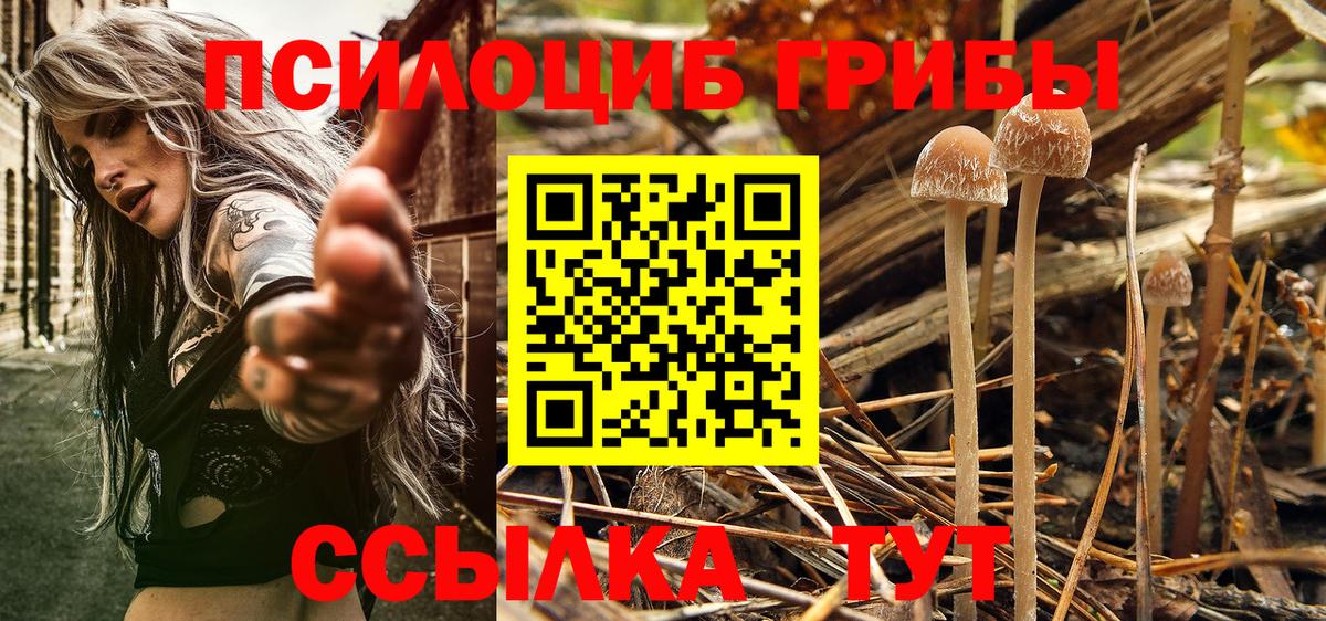 где купить   Вход с VPN  Звенигород  Псилоцибиновые грибы Magic Shrooms  Галлюциногенные грибы GOLDEN TEACHER 